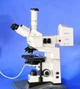 Microscope Epifluroscence Zeiss